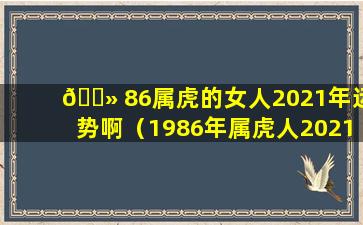 🌻 86属虎的女人2021年运势啊（1986年属虎人2021年运势女性86虎女今年每月运势）